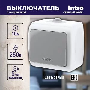 Выключатель Intro Atlantic 5-102-03 с подсветкой, 10А-250В, IP54, открытой установки, серый