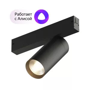 Акцентный светильник SMART SPOT 20W DIM 3000K-6000K черный