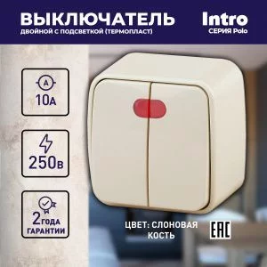 3-105-02 Intro Выключатель двойной с подсветкой, 10А-250В, IP20, ОУ, Polo, сл.кость (18/360/4320)