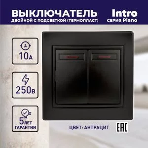 Выключатель Intro Plano 1-105-05 двухклавишный с подсветкой, 10А-250В, IP20, СУ, антрацит