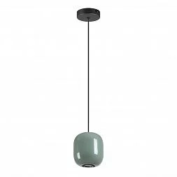 Подвесной светильник Odeon Light Pendant 5053/1C