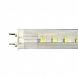 Светодиодная Лампа ECOLED T8-600RV 110V MIX White (Arlight, T8 линейный)