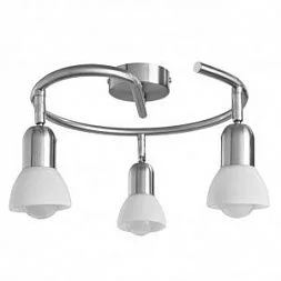 Светильник спот Arte Lamp FALENA Серебристый A3115PL-3SS