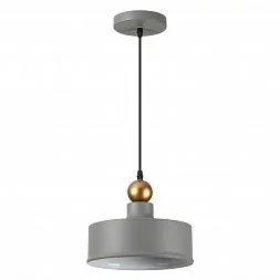 Подвесной светильник Odeon Light Pendant 4089/1